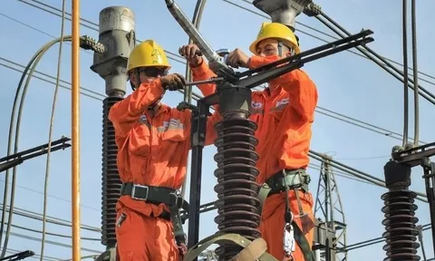 Đề xuất quy định đánh giá lại tài sản tại công ty con của EVN