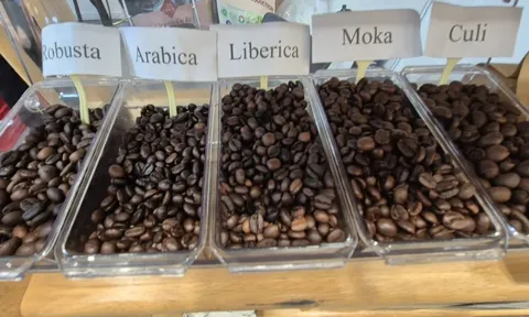 Giá cà phê hôm nay 26-11: Tăng 3 con số trở lại