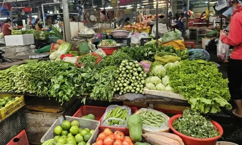 Giá rau xanh 'hạ nhiệt'