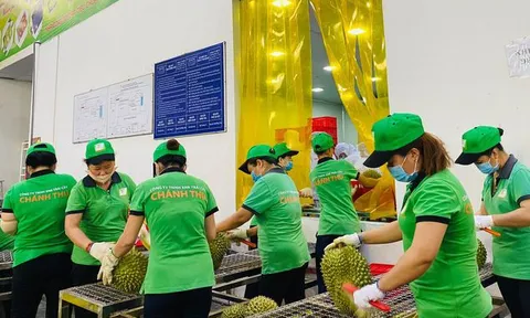Rau quả Việt Nam: Đón kỷ lục 7 tỷ USD, thăng hạng chinh phục thị trường Mỹ, EU