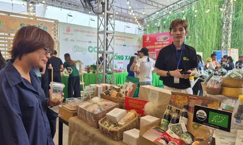 Không lo thiếu hàng Tết