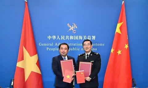 Mít tươi được phép xuất khẩu chính ngạch sang Trung Quốc