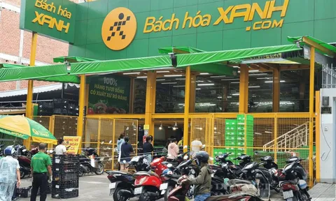 Tổng Giám đốc MWG: Bách Hóa Xanh lãi không dưới 600 tỷ năm 2025, mục tiêu xoá lỗ luỹ kế là thách thức nhưng khả thi