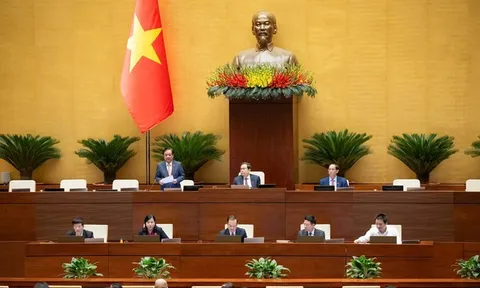 Xây dựng Luật AI: Đặt cơ chế thử nghiệm có kiểm soát ở vị trí trung tâm