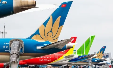 3 hãng hàng không Việt đồng loạt ra thông báo sau cảnh báo khẩn về lỗi phần mềm của Airbus