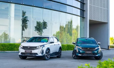 New Peugeot 3008 & 5008 bản nâng cấp: SUV châu Âu hàng đầu phân khúc