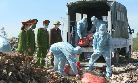 N.V.H mua hơn 500kg lợn nhiễm dịch tả châu Phi cất ở nhà để mổ bán dần