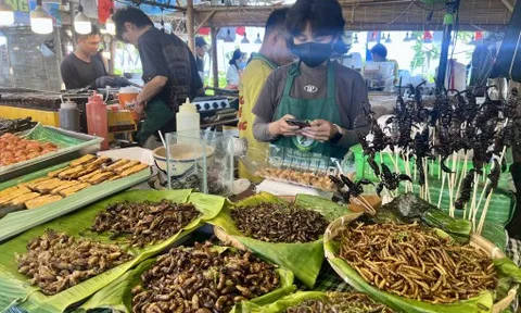 Đuông dừa, bọ cạp, côn trùng… vào lễ hội ẩm thực Mỹ vị sóng ngàn