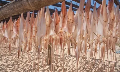 Một đặc sản biển của Việt Nam 'lọt mắt xanh' loạt thị trường lớn, Hàn Quốc – Nhật Bản – Thái Lan đua nhau mua: Xuất khẩu bứt phá, thu hàng trăm triệu USD trong 10 tháng