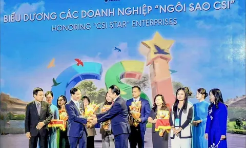 Tập đoàn Bảo Việt nhận danh hiệu Ngôi sao CSI, 10 năm liên tiếp được vinh danh Top 10 Doanh nghiệp bền vững nhất Việt Nam