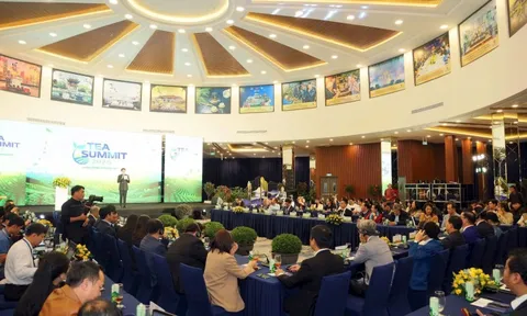 Tea Summit 2025: 'Trà – Thức uống của tương lai' và hành trình kiến tạo chuẩn giá trị mới cho ngành trà Việt