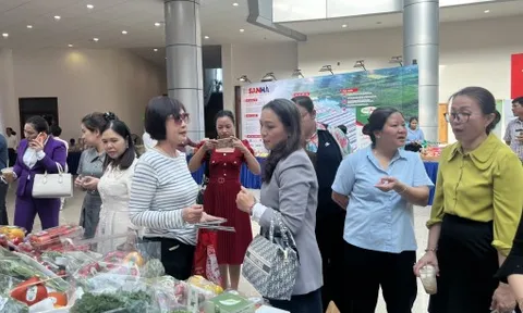 TPHCM tăng kiểm soát nguồn cung thực phẩm vào trường học, cơ sở du lịch