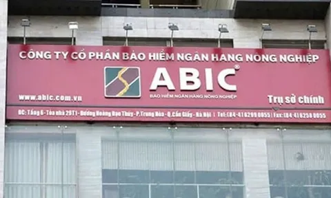 ĐHĐCĐ bất thường ABIC: Thay đổi nhân sự chủ chốt, quyết tâm không thay đổi kế hoạch kinh doanh