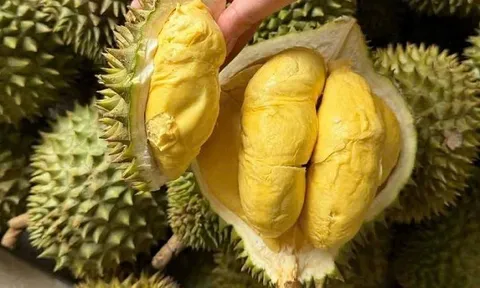 Thu gần 3,34 tỷ USD sau 10 tháng, 'vua trái cây' Việt Nam thành ngôi sao, càn quét thị trường Trung Quốc