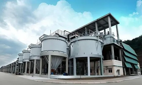 Phốt pho Apatit Việt Nam sắp chia cổ tức bằng tiền mặt tỷ lệ 100%