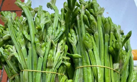 Loại rau từng mọc bạt ngàn không ai hái nay thành đặc sản 120.000 đồng/kg: Nhà giàu săn lùng, muốn mua phải đặt trước