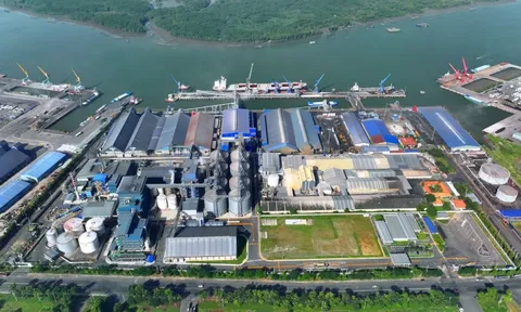 Hai tập đoàn tỷ đô rót thêm 100 triệu USD vào Việt Nam, TP.HCM sở hữu nhà máy dầu dậu nành lớn nhất Đông Nam Á