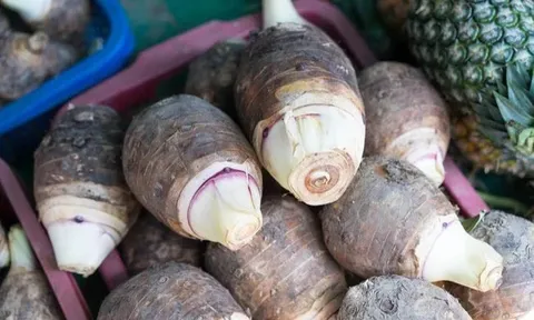 Loại củ chỉ cần chạm tay 1 giây là ngứa cả ngày, ai ngờ lại cực tốt cho gan và tim mạch, ngừa đột quỵ