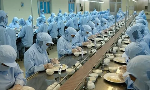 Một doanh nghiệp nhà nước giải thể 11 đơn vị và công ty con