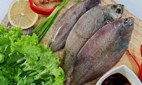 Loài cá 'xấu lạ' nhưng là đặc sản giàu dinh dưỡng giá chỉ từ 100.000 đồng/kg, dân sành ăn ráo riết tìm mua