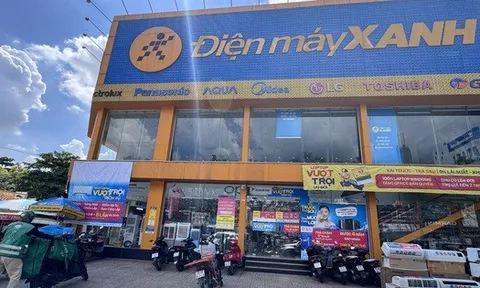 Điện Máy Xanh của Thế Giới Di Động sắp lên sàn