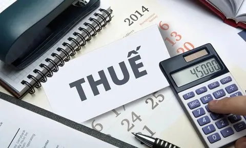 Thuế TP. HCM thông báo các mốc thời gian quan trọng trong tháng 12