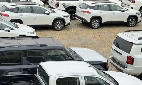 Cận cảnh lô xe gần 2.100 chiếc vừa cập cảng TPHCM