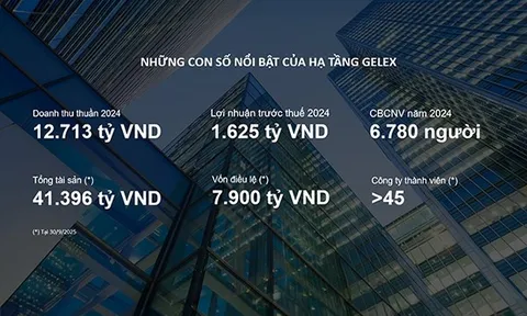 Hạ tầng GELEX kinh doanh ra sao trước thềm IPO?