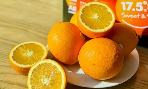 Cam 'quốc dân' Trung Quốc sắp vào Việt Nam: Mỗi quả được đo độ ngọt bằng công nghệ quang học, chỉ 10-20% đạt chuẩn Kim Cương