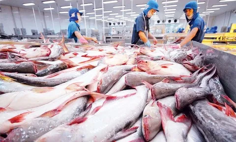 'Mỏ vàng dưới nước' bứt phá xuất khẩu: 11 tháng thu hơn 2 tỷ USD, Trung Quốc dẫn đầu nhập khẩu