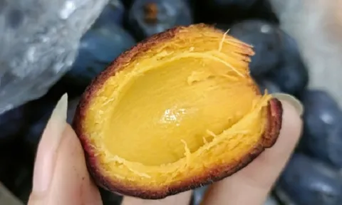 Từng rụng đầy đồi chẳng ai mua, loại quả này nay 'làm mưa làm gió' trên mạng, giá lên tới 150.000 đồng/kg