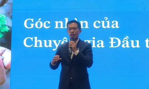 Cùng mô hình, khác kết cục như Tiki – Shopee, chuyên gia chỉ ra 3 nguyên tắc “sống còn” khi đầu tư Private Equity
