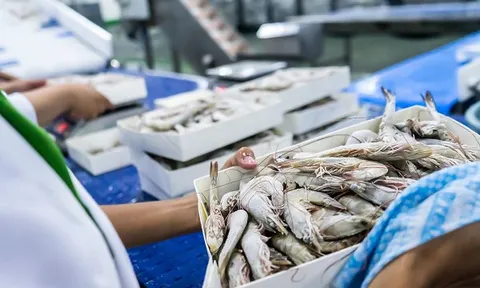 Không phải sầu riêng, mặt hàng Việt khiến Trung Quốc 'mê như điếu đổ': Nước ta bỏ túi 4,3 tỷ USD, Mỹ – Nhật cũng không đứng ngoài cuộc