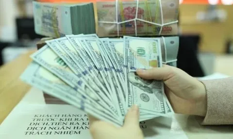 Giá USD hạ nhiệt, thị trường tự do giảm hơn 100 đồng