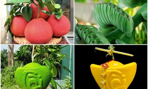 Những loại quả độc lạ chưa Tết đã hút khách