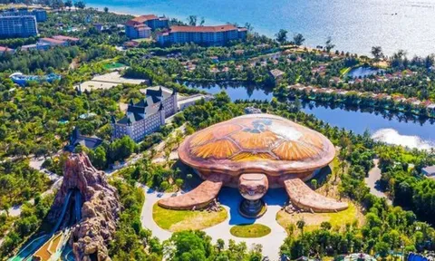 Ông Ngạc Văn Lượng chi hơn 400 tỷ đồng gom cổ phiếu VPL