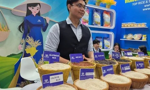 Xuất khẩu gạo dốc sức vượt khó