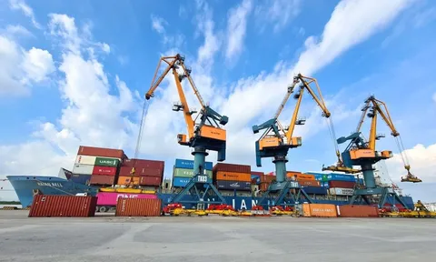 Viconship muốn mua thêm 14 triệu cổ phiếu HAH, tăng sở hữu trên 21%