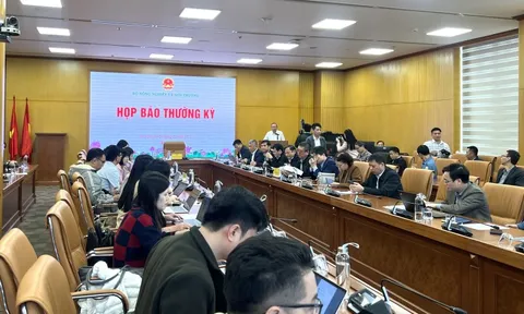 Thiên tai năm 2025: Dị thường, cực đoan, chưa từng có tiền lệ