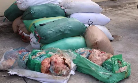 Chặn xe tải trên quốc lộ phát hiện 2,3 tấn nội tạng thối giấu trong bao dứa, chuẩn bị tuồn về Ninh Bình