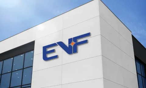 Bật mí 5 lý do quỹ Chính phủ Thụy Điển đầu tư vào EVF