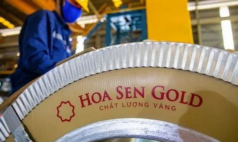 Hoa Sen Group muốn thành lập công ty sản xuất sắt, thép tại Hải Phòng