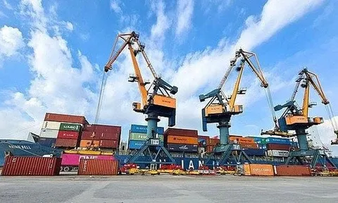 Viconship muốn mua thêm 14 triệu cổ phiếu HAH của Xếp dỡ Hải An