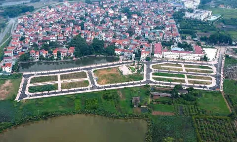 Hà Nội nhộn nhịp đấu giá đất tuần cuối năm