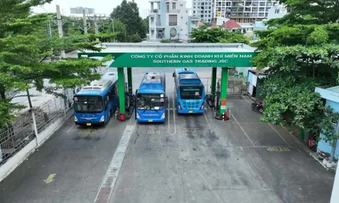 Gần 500 xe buýt ở TP Hồ Chí Minh có nguy cơ gián đoạn vì thiếu khí CNG