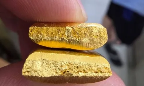 Cảnh giác với vàng độn vonfram
