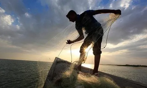 Khối ngoại tranh thủ mua ròng trong phiên VN-Index giảm 40 điểm, gom mạnh một mã họ Vingroup