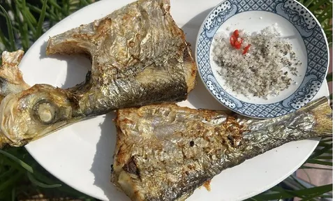 Có tiền chưa chắc mua được: Một trong 'tứ quý ngư' kín tiếng của biển Việt, đắt đỏ nhưng hiếm người được thưởng thức