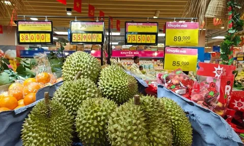 Mỗi quả sầu riêng sẽ được gắn một ‘chứng minh thư’