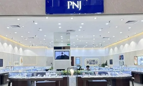 PNJ sắp chi hơn 340 tỷ đồng tạm ứng cổ tức năm 2025